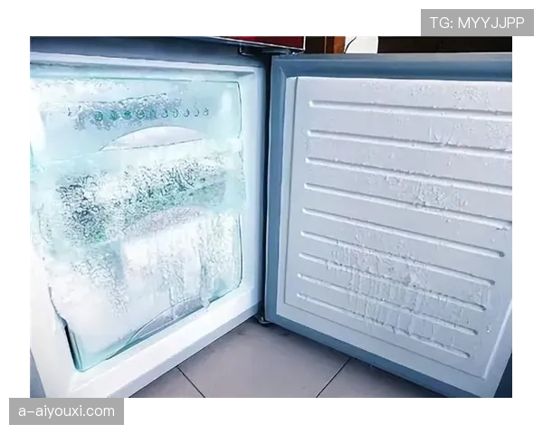 勒布朗家的冰箱里居然连冰块都要按克称着用？