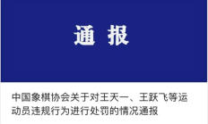 爱游戏体育:体育时评：红线不可越 人生无悔棋